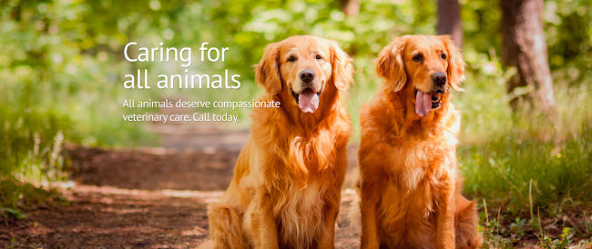 Ветеринарна Амбулатория Оптивет (Ветеринар Пазарджик) - Пазарджик