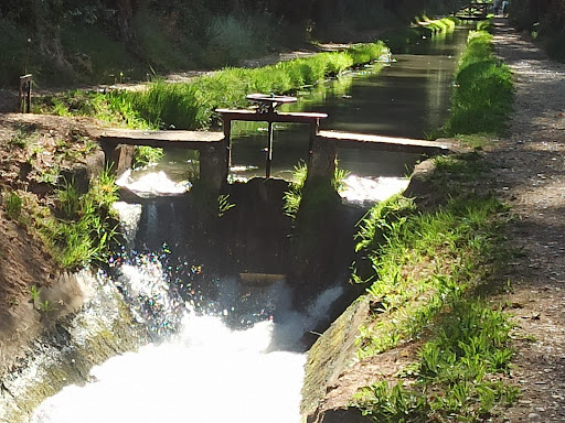 Acequia - Thumbnail
