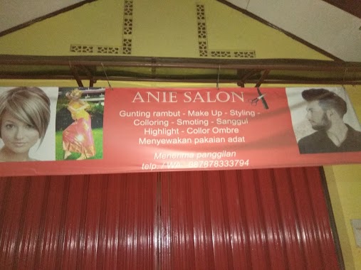 Anie Salon, Author: supri anto