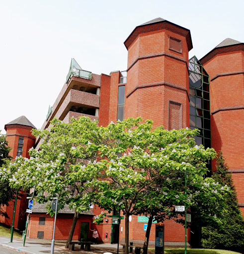 Sutton Council - Visual