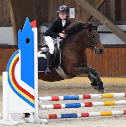 Photo n°18 de Ecuries Art'Questro - Centre équestre et poney club à Fromelles à Fromelles (Pension pour chevaux)