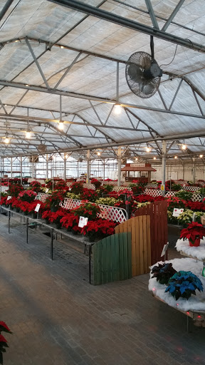 Town & Country Gardens Gallery - United States