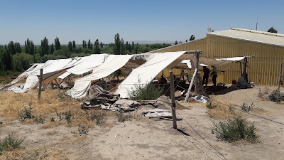 Photos of &Ccedil;atalh&ouml;y&uuml;k