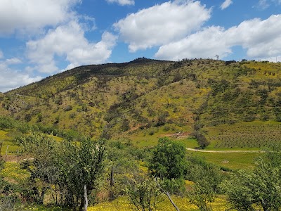 Photos of Vi&ntilde;a Gonzalez Bastias