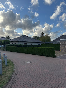 Neueste