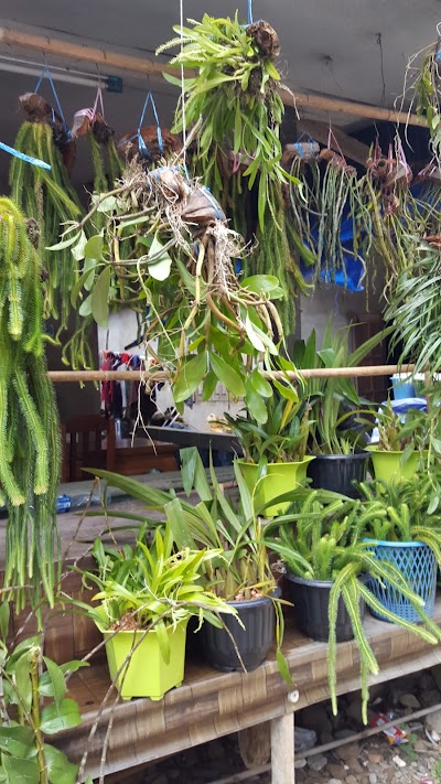 Photos of local market