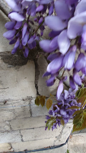 Comments and reviews of National Trust - Treasurer's House, York