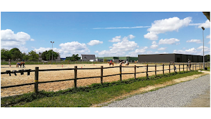 Photo n°1 de 3 RIVIERES EQUITATION à Mûrs-Erigné (Pension pour chevaux)