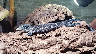 Photos of Mike's Reptipark