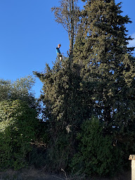 Photo n°10 de Entretien extérieur à Agde (Jardin)