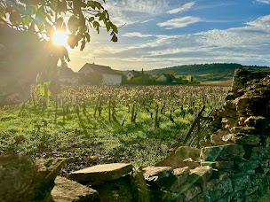 Photo n°11 de Côté Park à Givry (Chambre d'hôtes)