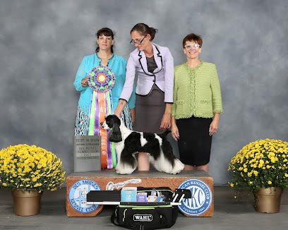 Groomed to Pawfection