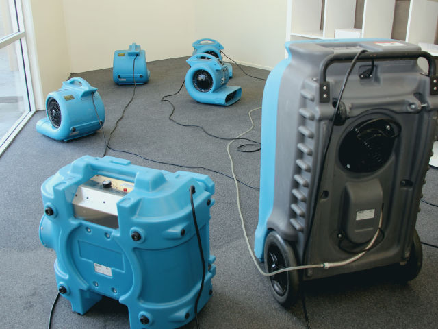 Local Water Damage Restoration FL photo