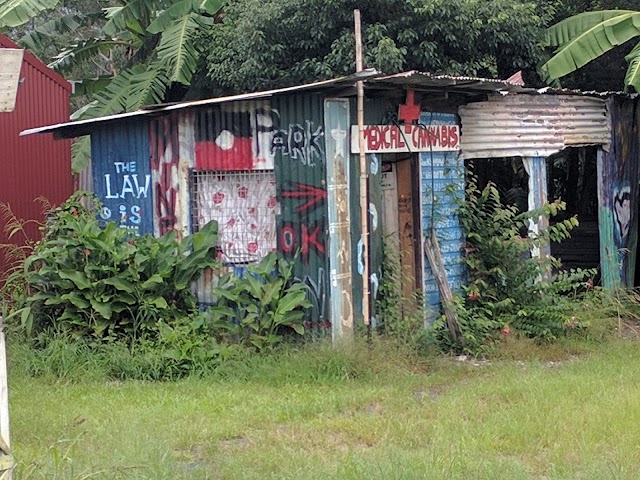 Nimbin