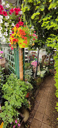 Photo n°2 de HORTICULTURE HAESSIG à Hochfelden (Jardinerie)