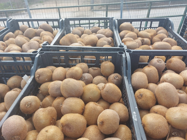 ΔΗΜΟΣ ΘΕΟΔΩΡΟΣ