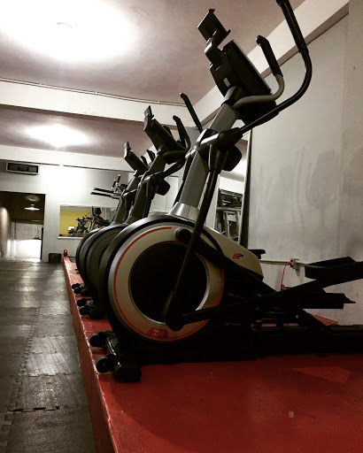 Alphagym - Visual