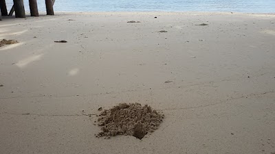 Photos of Matagi Island