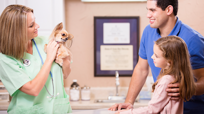 Photos of Animal Medical & Emergency Hospital