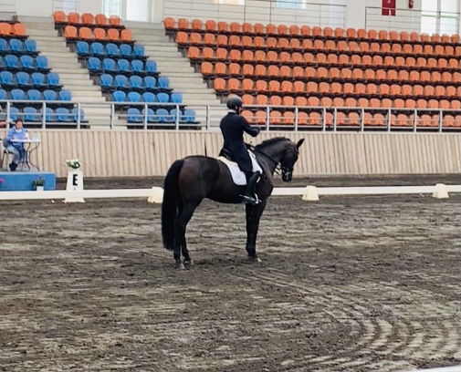 Comentarii opinii despre Αθλητικό Κέντρο Ιππασίας Βαρυμπόμπης (Α.Κ.Ι.Β.)