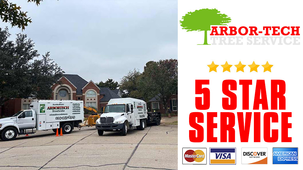 ArborTech Tree Service
