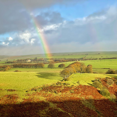 Exemead House by null