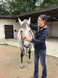 Photo n°6 de Stéphanie Chamonard - Ostéopathe Animalier à Villefranche-sur-Saône (Thérapie craniosacrale)