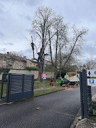 Photo n°4 de Accrosphere élagage à Ferrières (Service d'élagage)