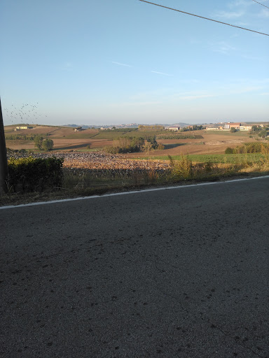 Pneumatici Dm Gallery - Italy