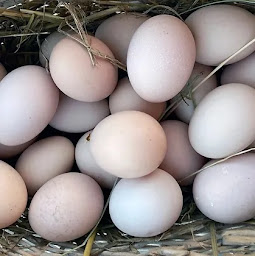 Photo n°77 de Restaurant La Table BioEthik Cadillac à Cadillac-sur-Garonne (Bar à vin)