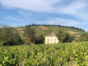Photo n°1 de Château des Moriers à Fleurie (Établissement vinicole)
