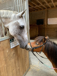Photo n°9 de Centre équestre du colombier à Offranville (Centre équestre)