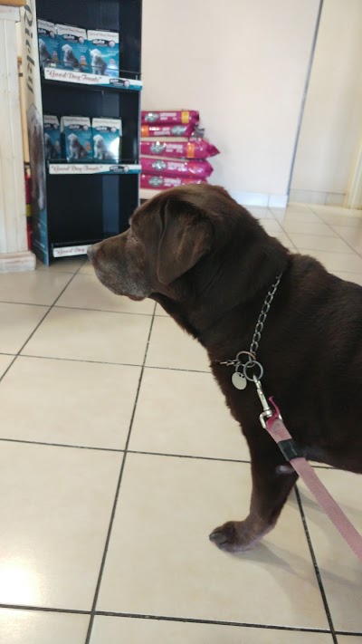 Photos of Fourways Veterinary Clinic