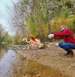 Photo n°8 de Clinique Vétérinaire de la Tangentielle - Docteur Bruno GASPAR à Fleury-les-Aubrais (Clinique vétérinaire)