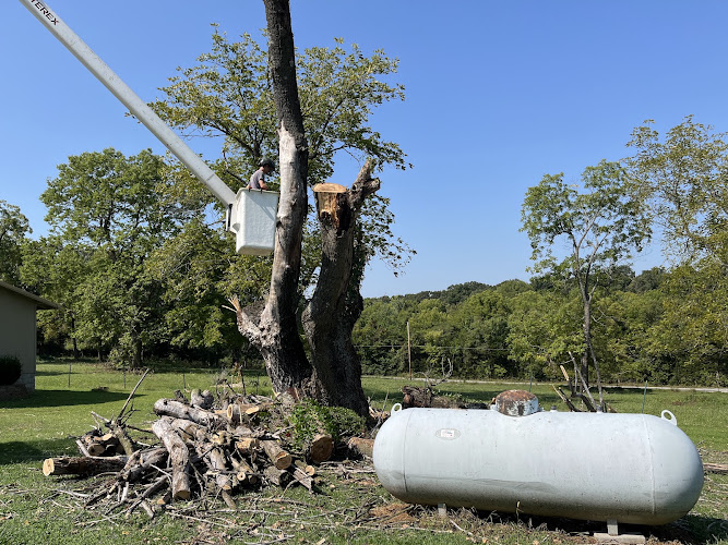 Magnum Tree Service