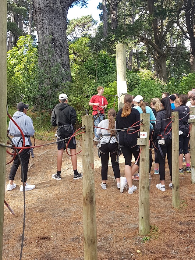 Adrenalin Forest Wellington