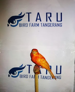 Taru Bird Farm, Author: Taru Bird Farm