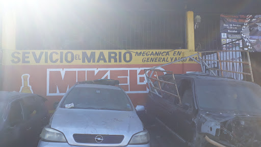 "El Mario" - Visual