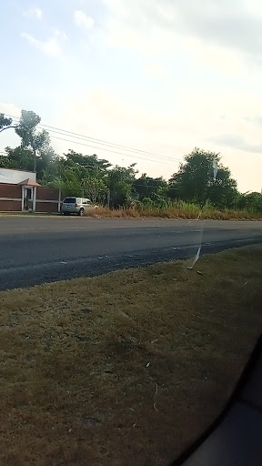 Antojitos Doña Nea - Thumbnail
