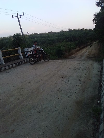 Photos of Jhon Parto Electronic