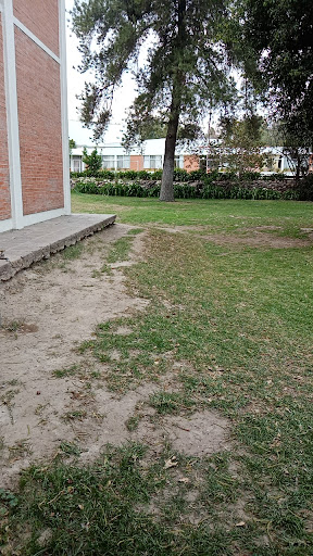 Rafaela Arganiz Special Education School - Thumbnail