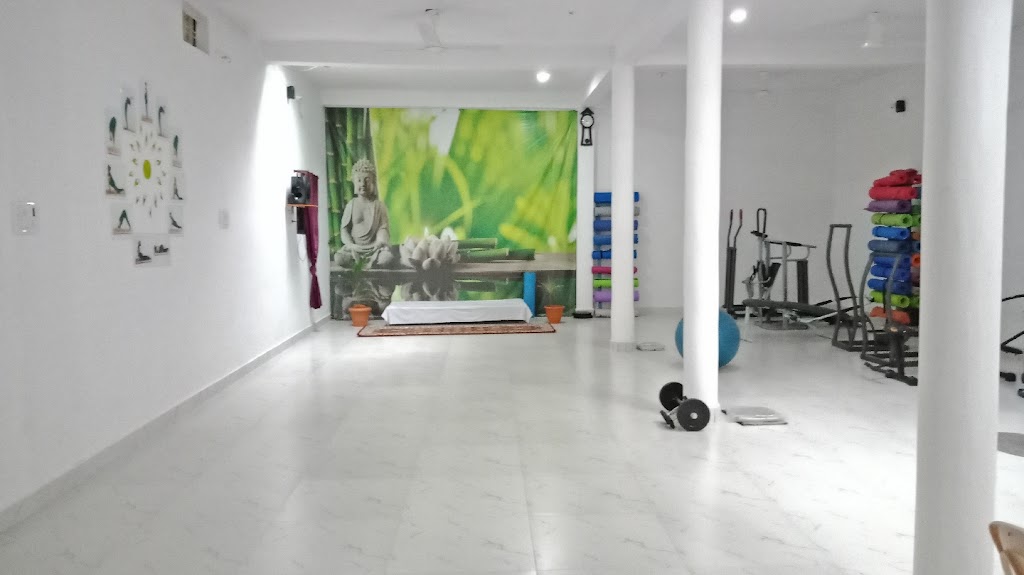 Yoga Fitness Classes