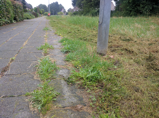 site_photo3