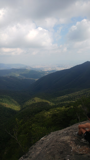 Picco Del Lupo
