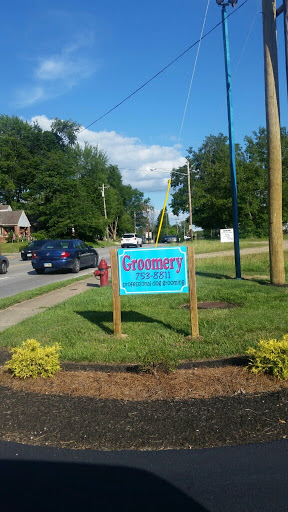 Groomery - Visual