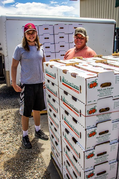 McLean Farms Peach Ice cream