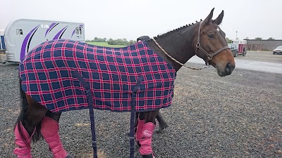 Photos of Punchestown Racecourse