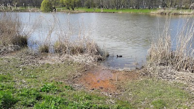 Photos of Victory Park