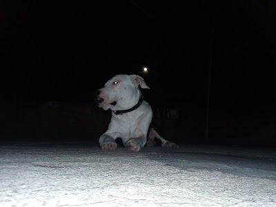 Photos of Lineal La Quintana Park