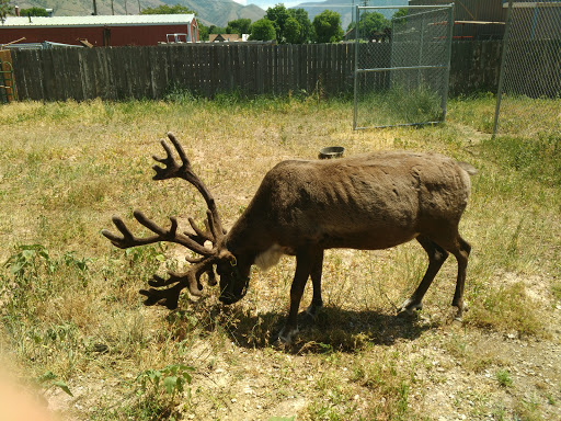 Mountain West Animal Hospital - Thumbnail